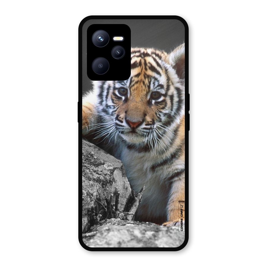 Animal Beauty Metal Back Case for Realme C35
