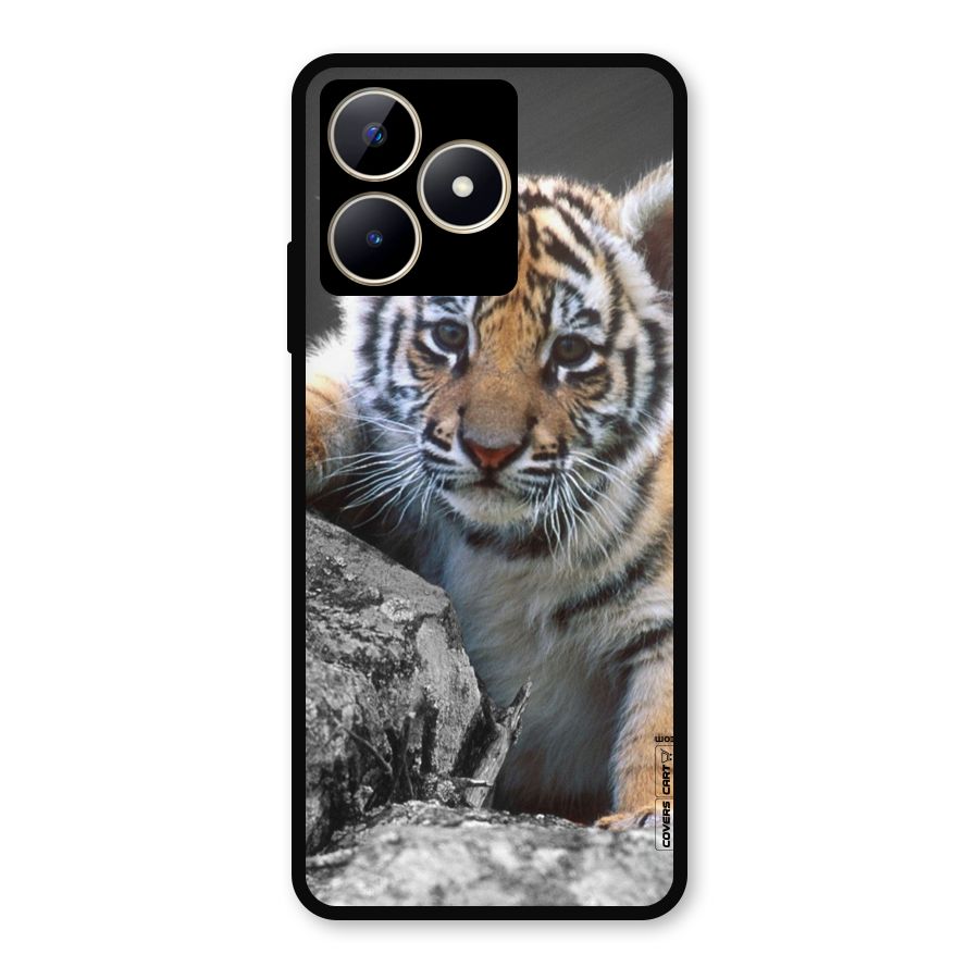 Animal Beauty Metal Back Case for Realme C53