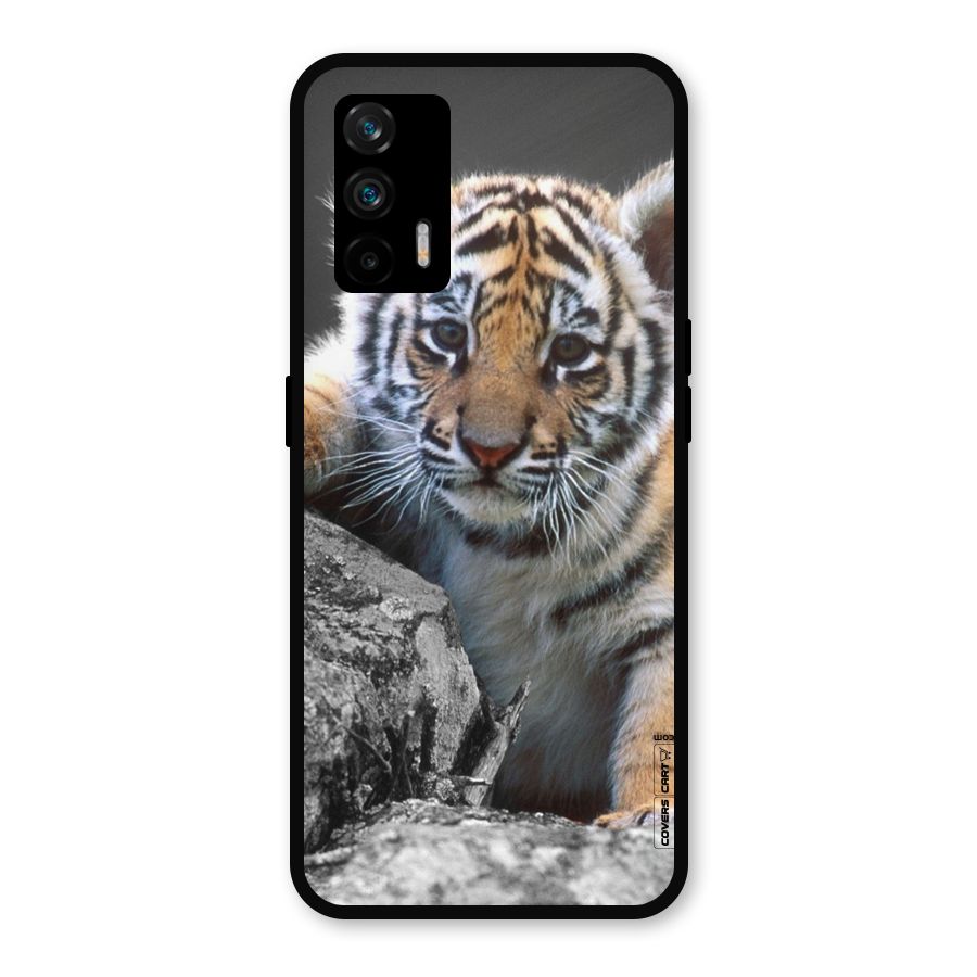 Animal Beauty Metal Back Case for Realme GT 5G