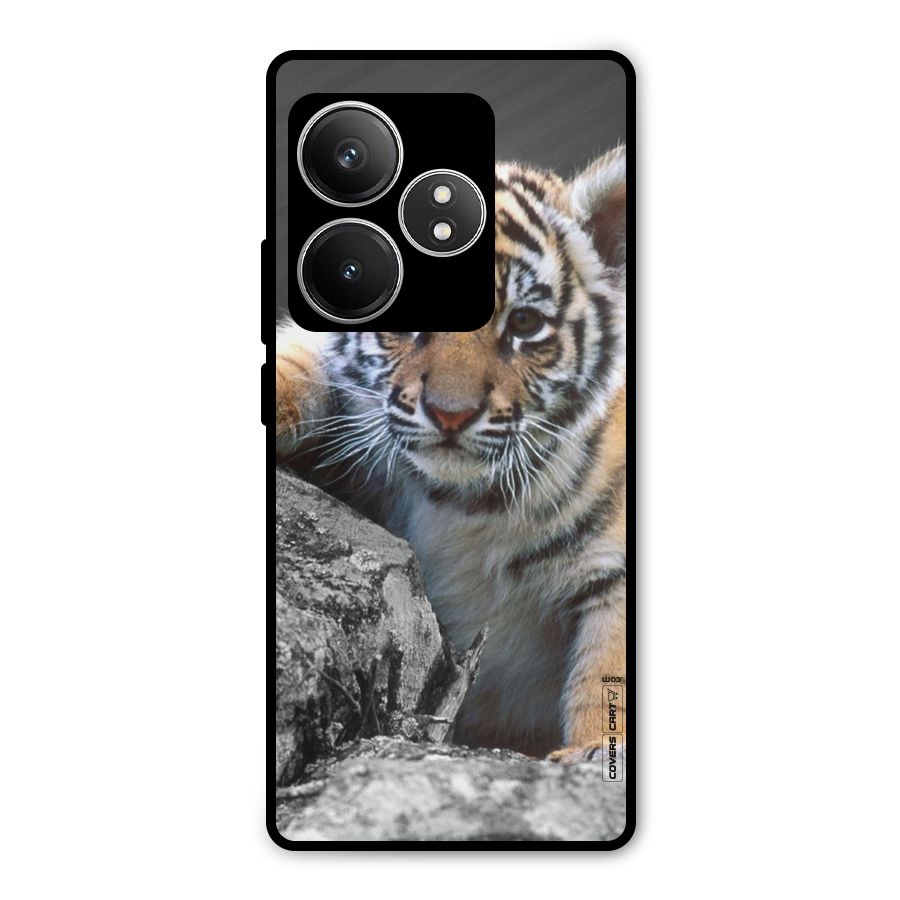Animal Beauty Metal Back Case for Realme GT 6T