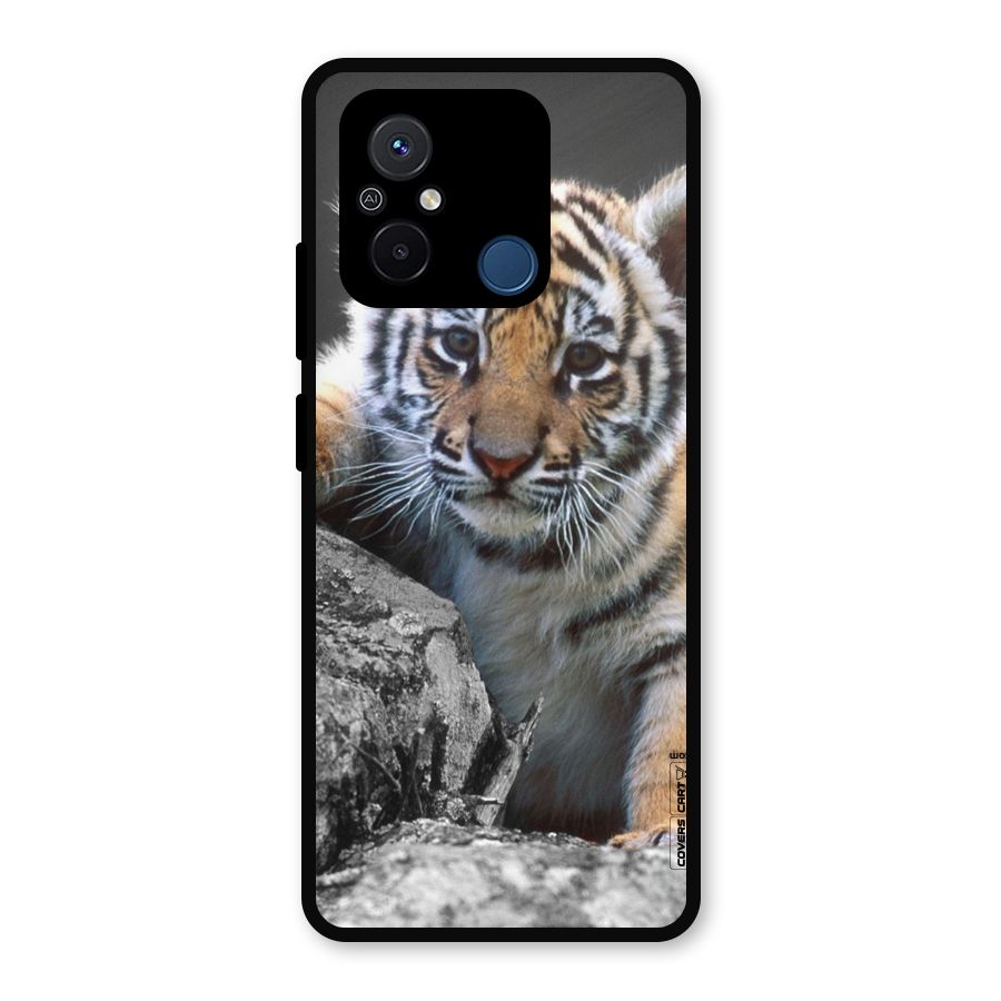 Animal Beauty Metal Back Case for Redmi 12C