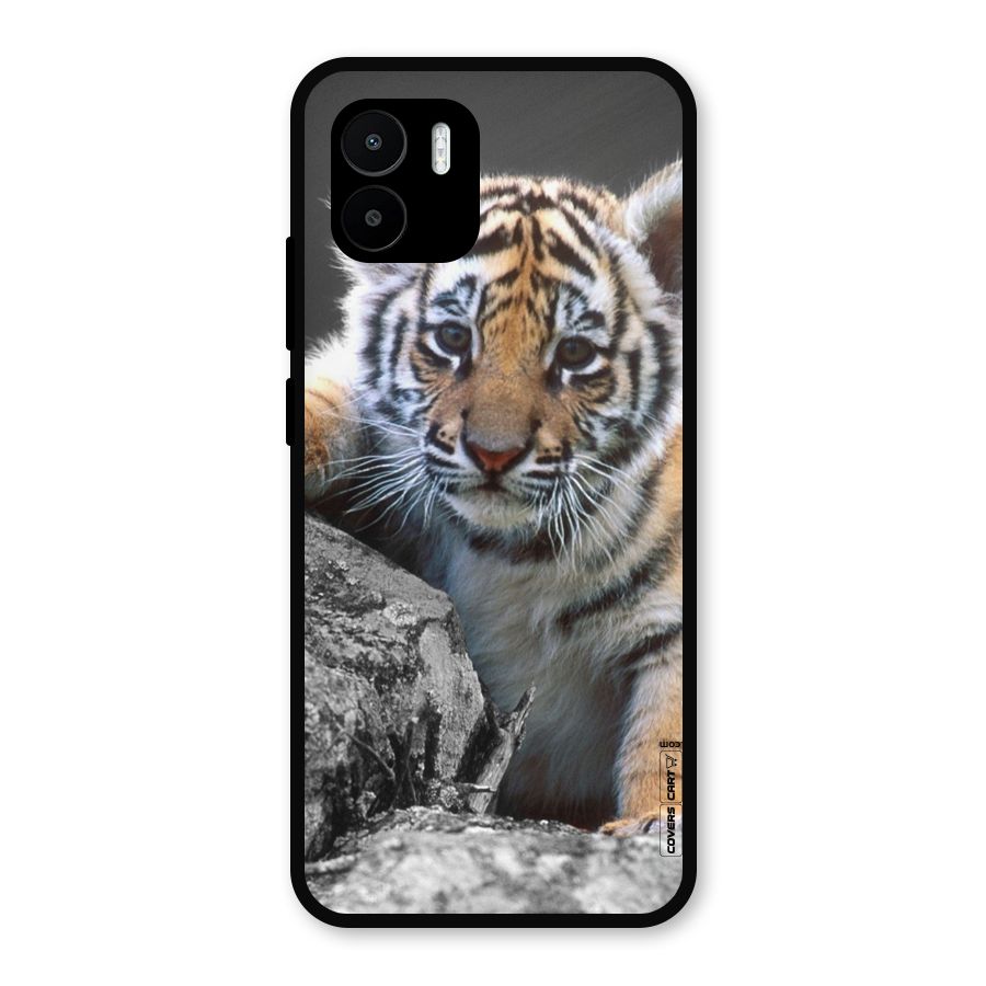Animal Beauty Metal Back Case for Redmi A2