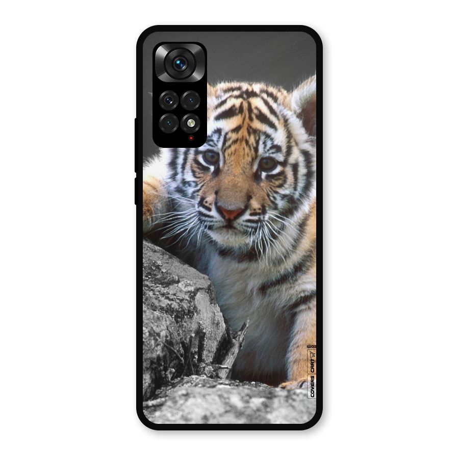 Animal Beauty Metal Back Case for Redmi Note 11s