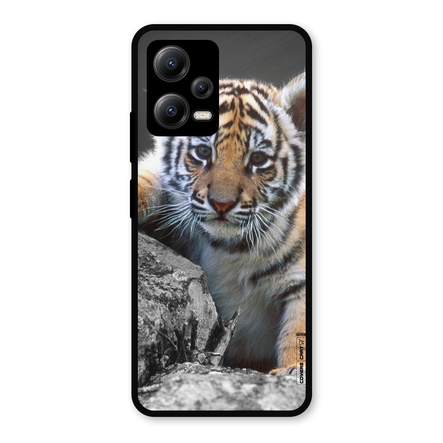 Animal Beauty Metal Back Case for Redmi Note 12 5G