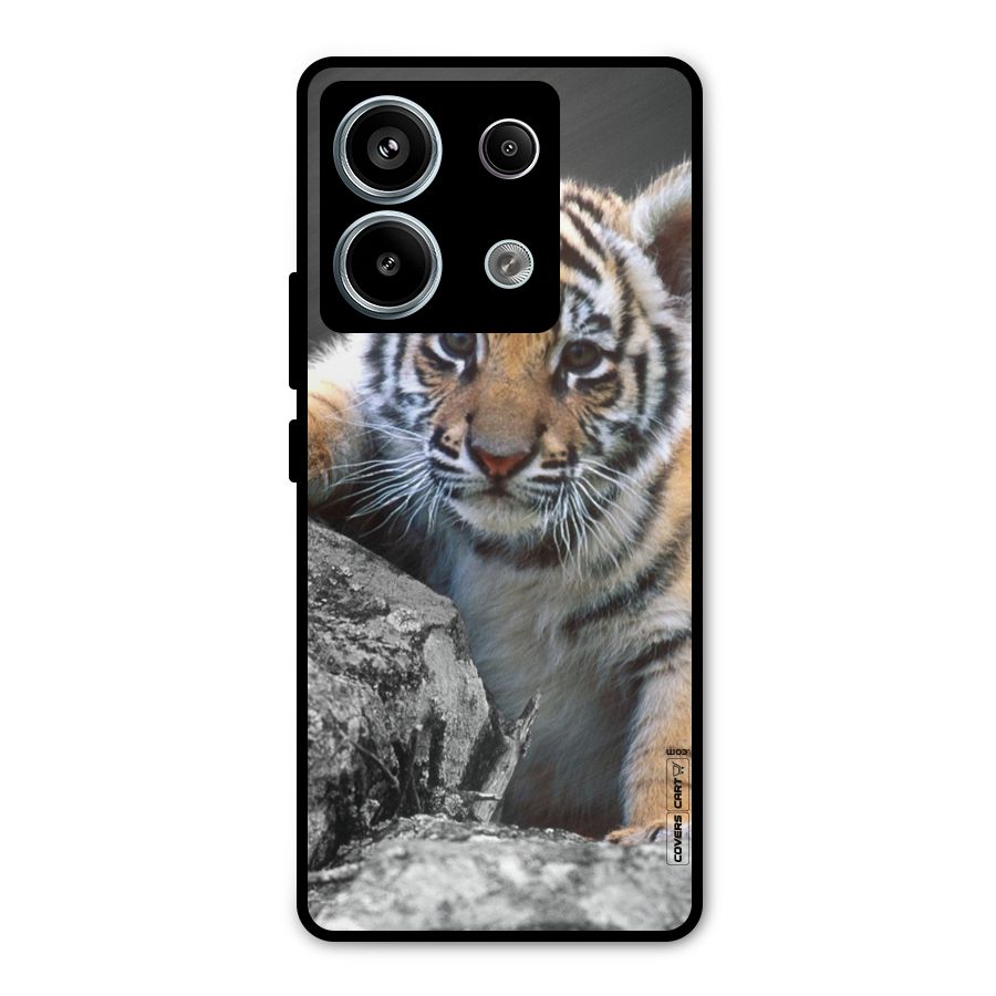 Animal Beauty Metal Back Case for Redmi Note 13 Pro 5G