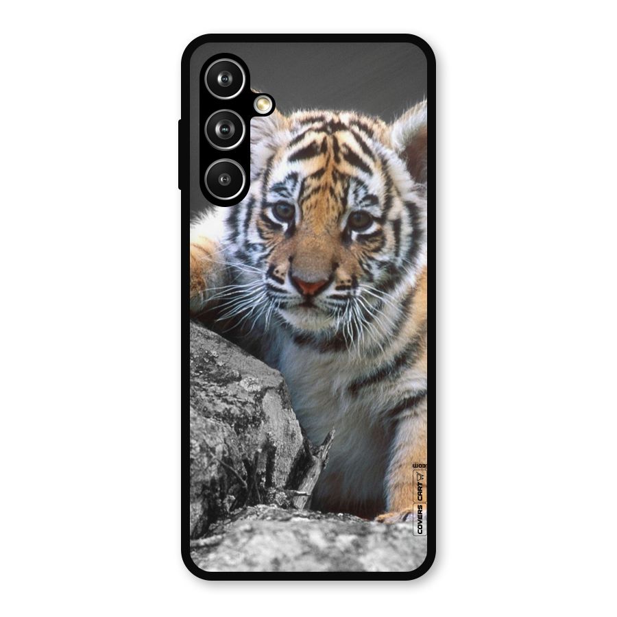 Animal Beauty Metal Back Case for Samsung Galaxy M54