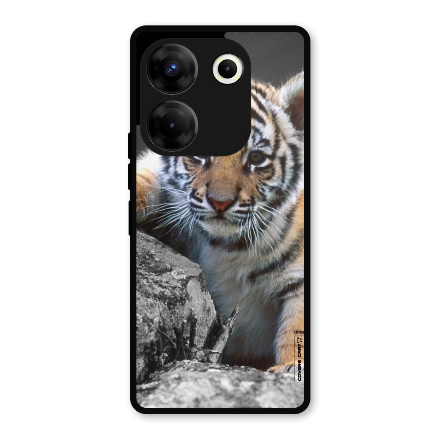 Animal Beauty Metal Back Case for Tecno Camon 20 Pro