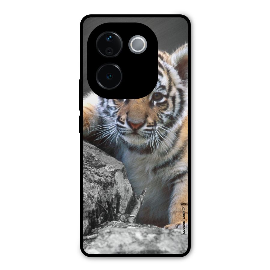 Animal Beauty Metal Back Case for Vivo T3 Pro