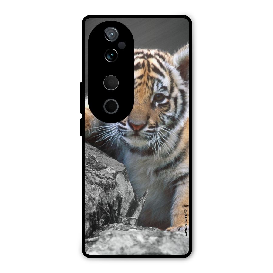 Animal Beauty Metal Back Case for Vivo T3 Ultra