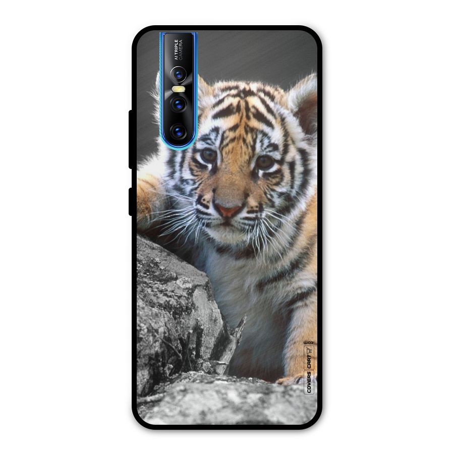 Animal Beauty Metal Back Case for Vivo V15 Pro