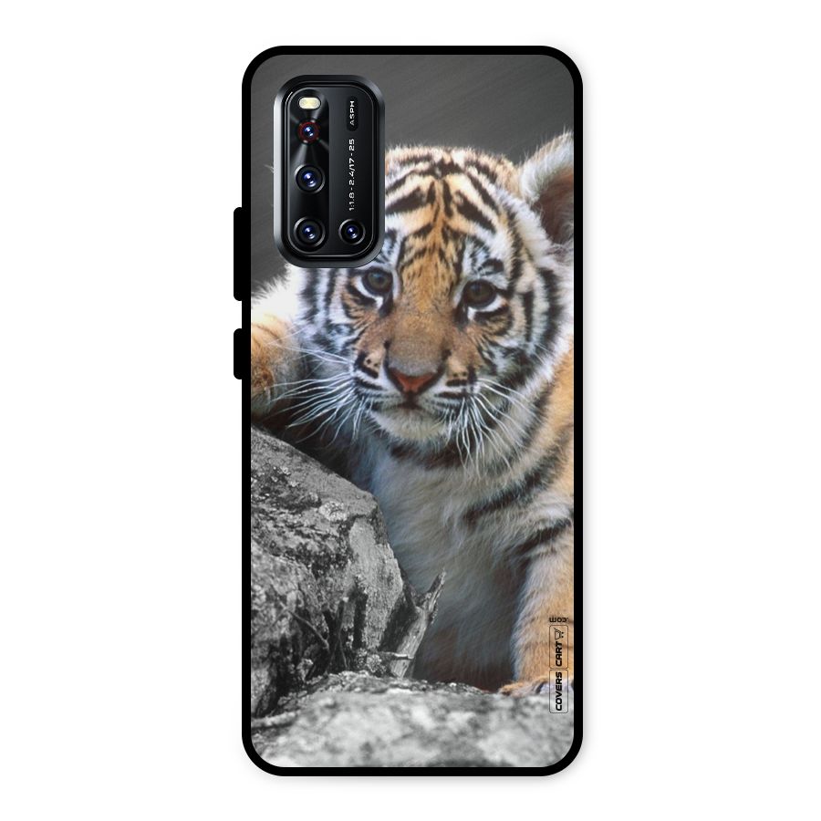 Animal Beauty Metal Back Case for Vivo V19