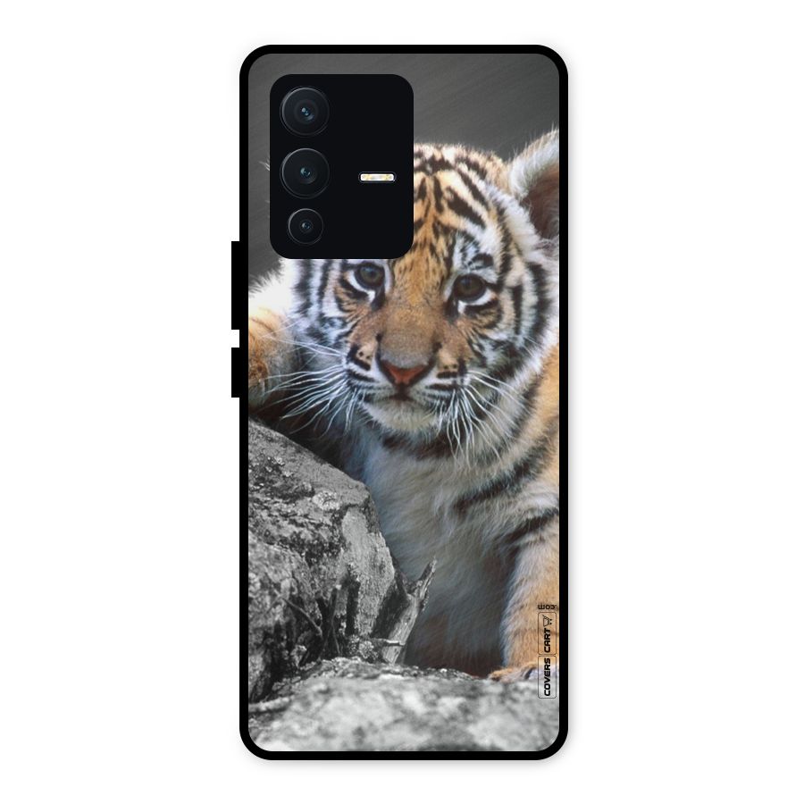 Animal Beauty Metal Back Case for Vivo V23 5G