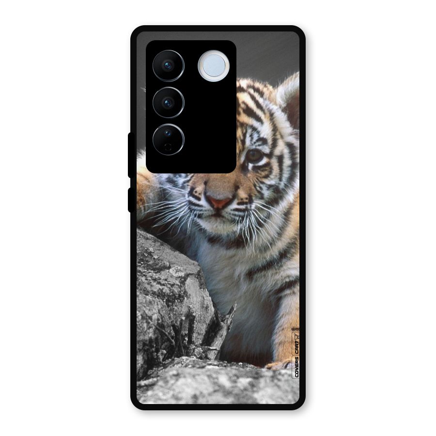 Animal Beauty Metal Back Case for Vivo V27