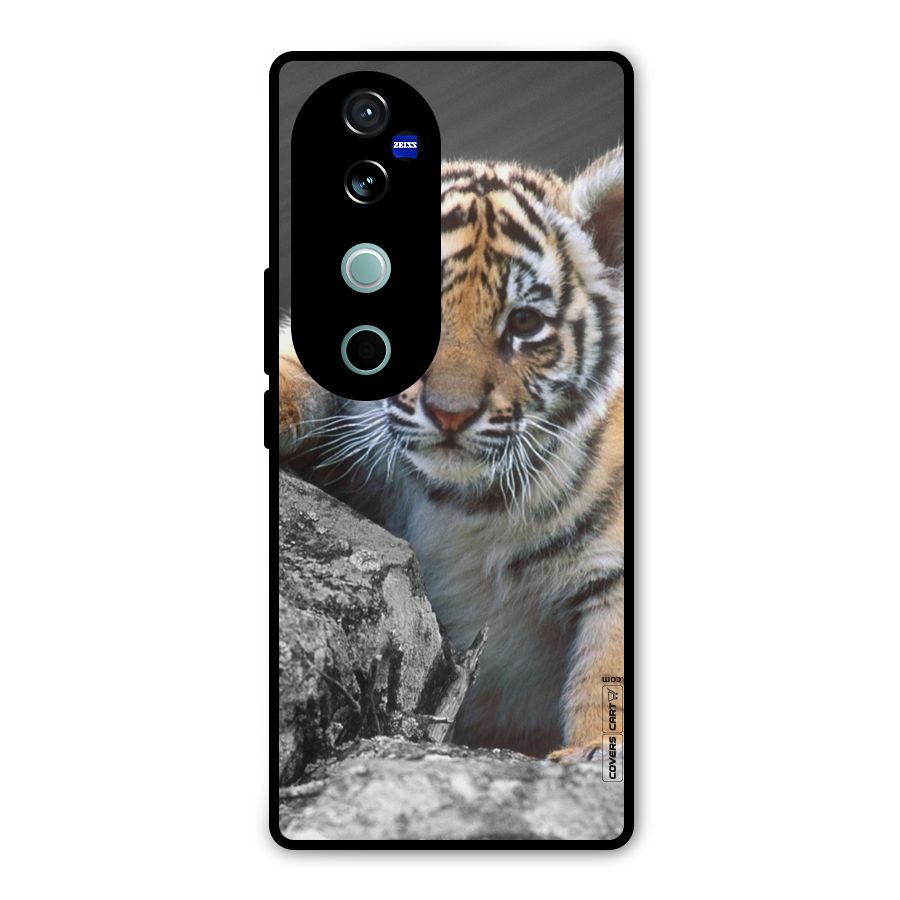 Animal Beauty Metal Back Case for Vivo V40
