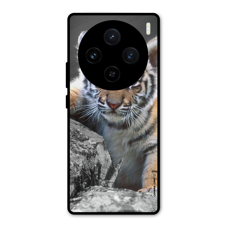 Animal Beauty Metal Back Case for Vivo X100