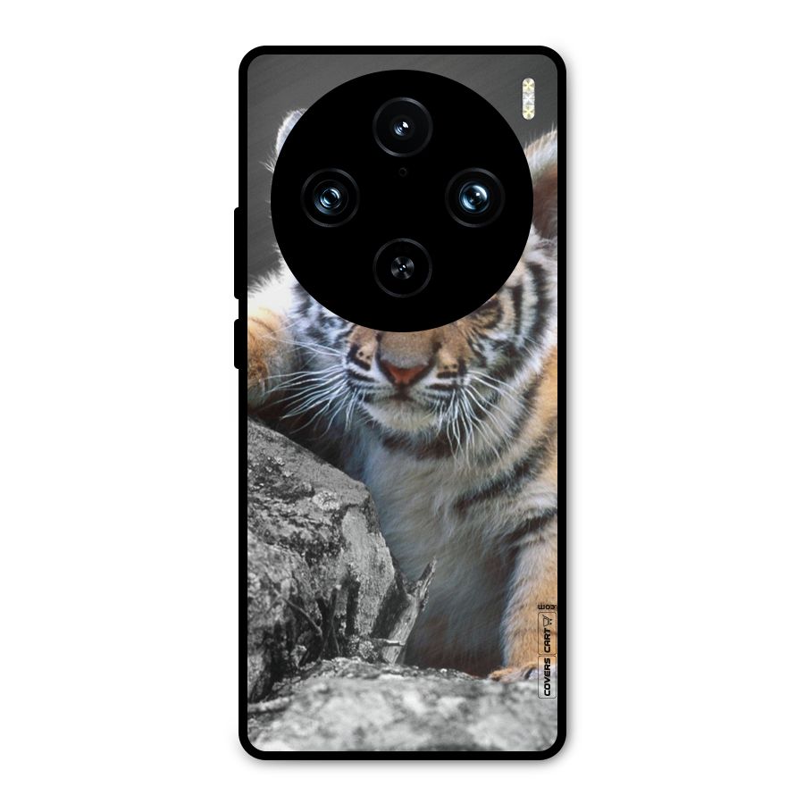 Animal Beauty Metal Back Case for Vivo X100 Pro