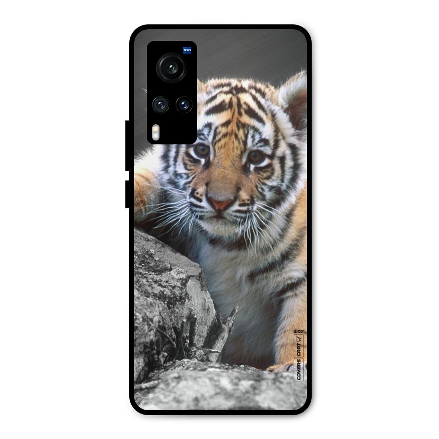 Animal Beauty Metal Back Case for Vivo X60