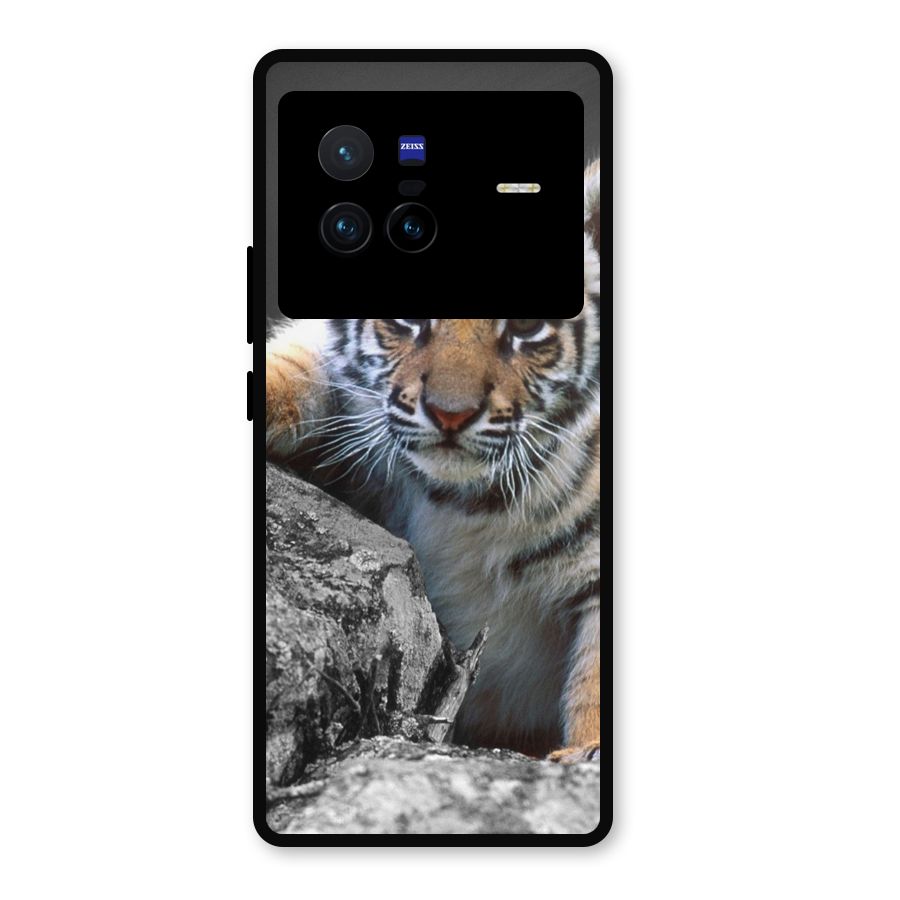 Animal Beauty Metal Back Case for Vivo X80
