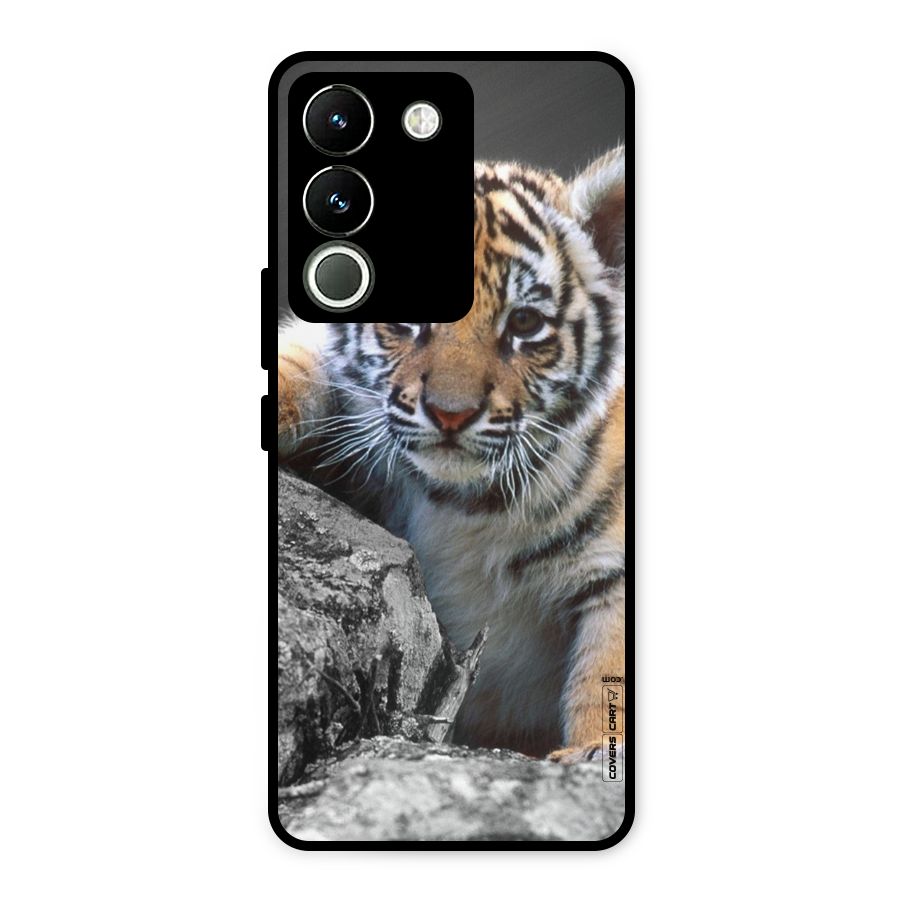 Animal Beauty Metal Back Case for Vivo Y200