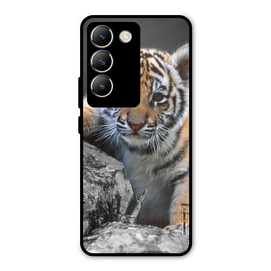 Animal Beauty Metal Back Case for Vivo Y200e