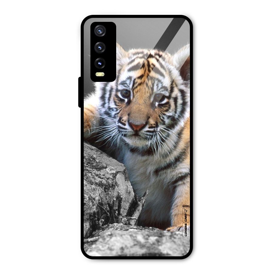 Animal Beauty Metal Back Case for Vivo Y20g