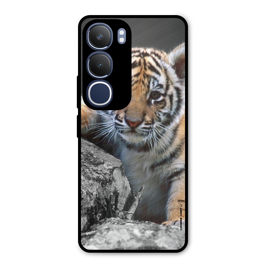 Animal Beauty Metal Back Case for Vivo Y29