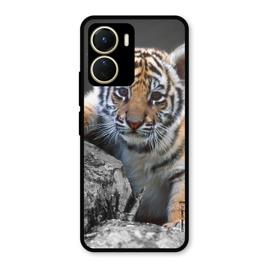 Animal Beauty Metal Back Case for Vivo Y56