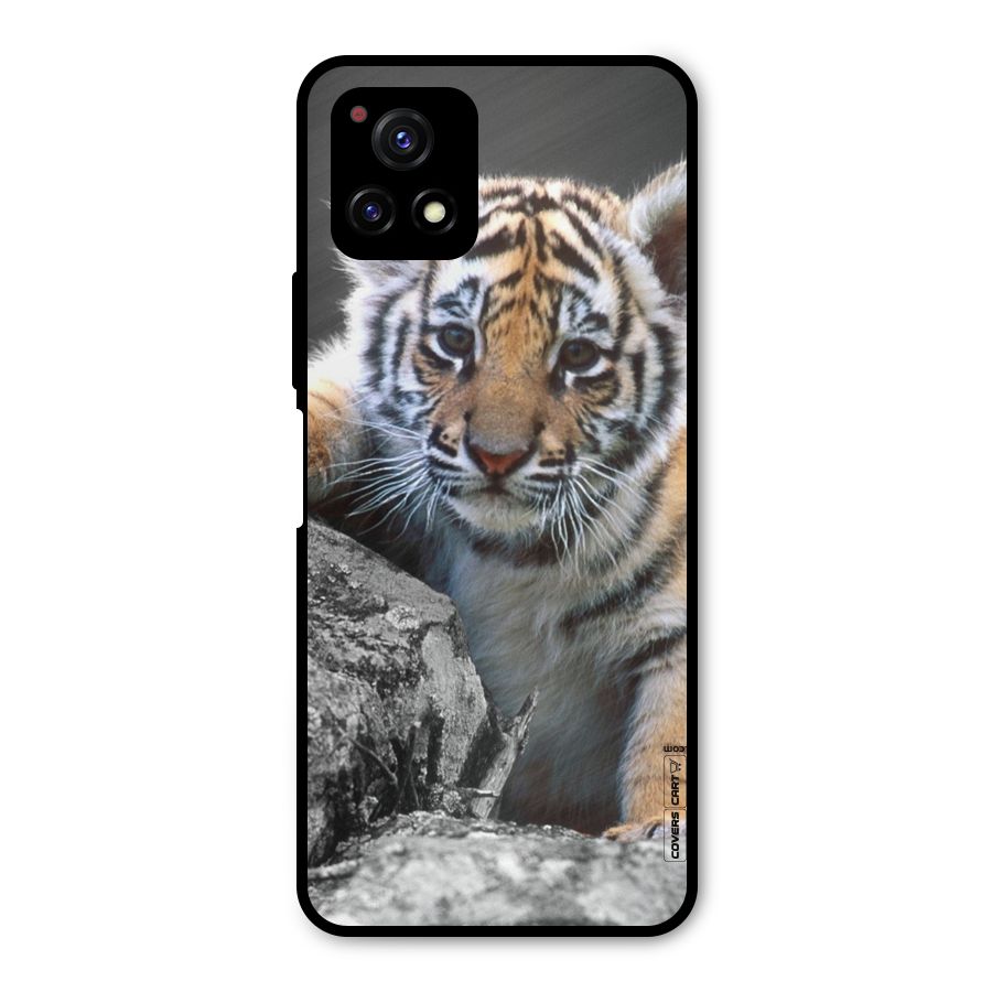 Animal Beauty Metal Back Case for Vivo Y72 5G
