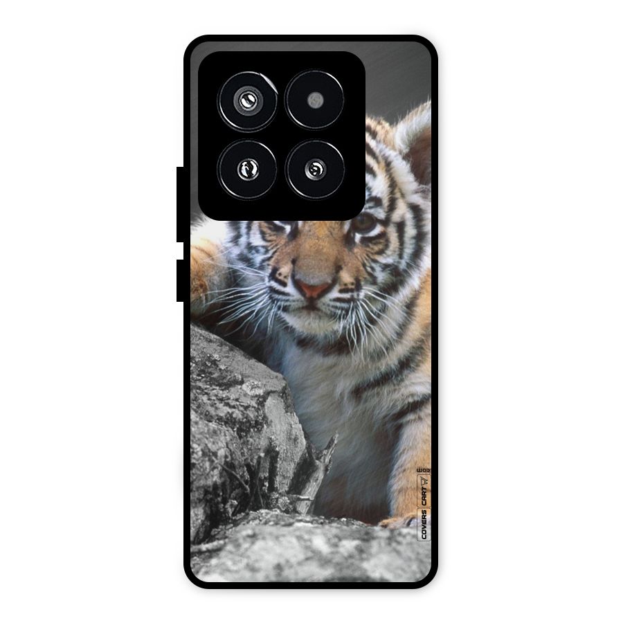 Animal Beauty Metal Back Case for Xiaomi 14 Pro