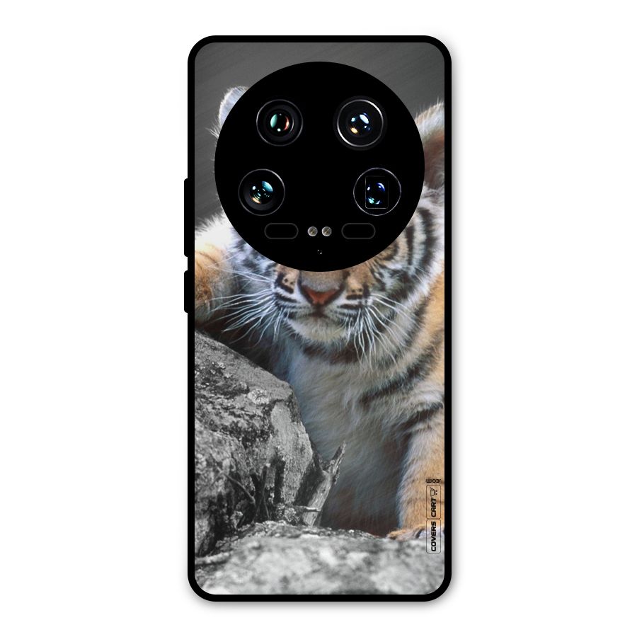 Animal Beauty Metal Back Case for Xiaomi 14 Ultra