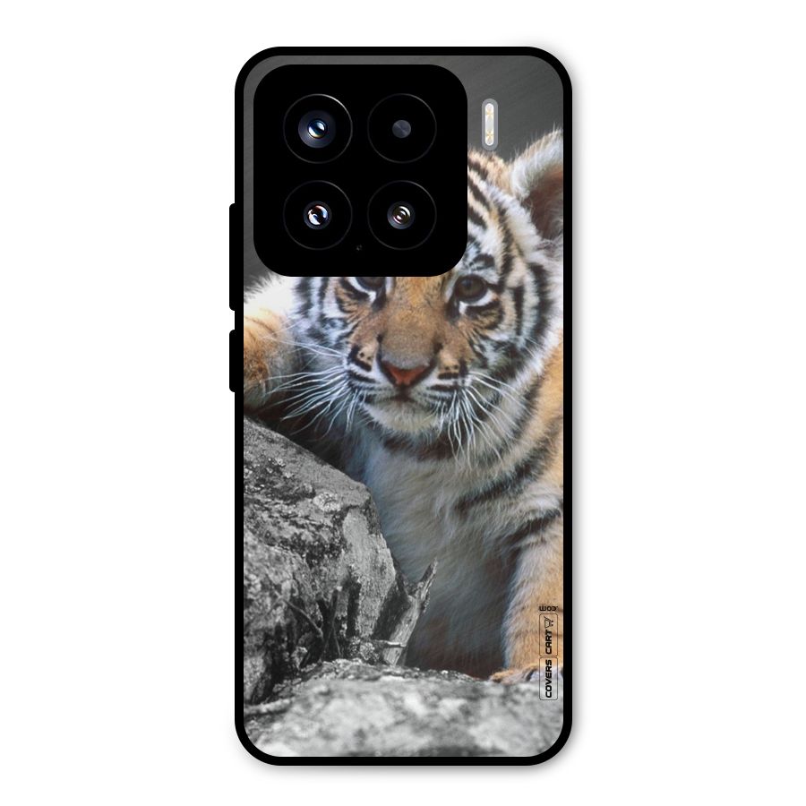 Animal Beauty Metal Back Case for Xiaomi 15