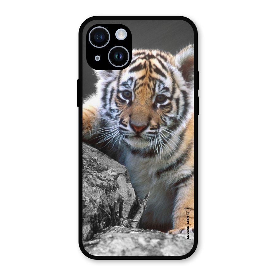 Animal Beauty Metal Back Case for iPhone 14