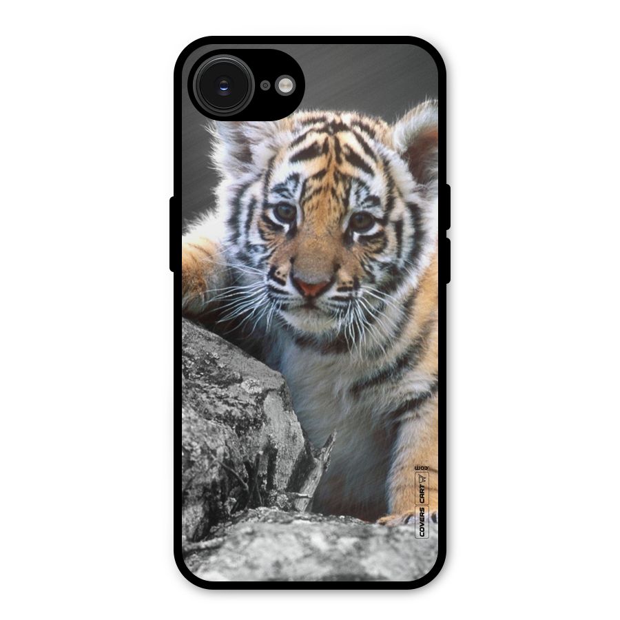Animal Beauty Metal Back Case for iPhone 16e