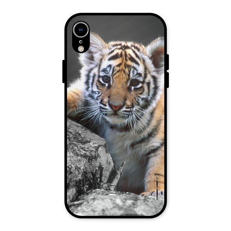 Animal Beauty Metal Back Case for iPhone XR