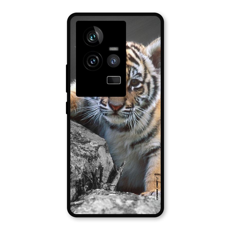 Animal Beauty Metal Back Case for iQOO 11 5G
