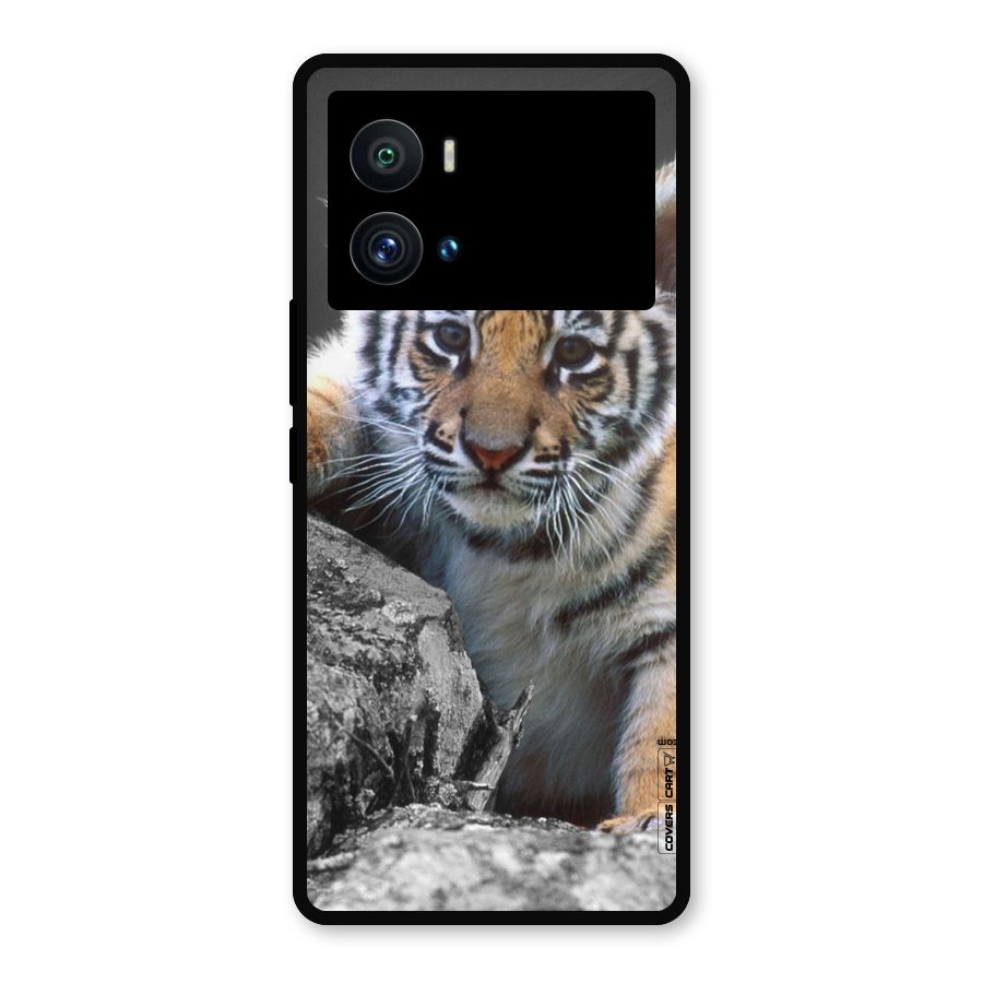 Animal Beauty Metal Back Case for iQOO 9 Pro