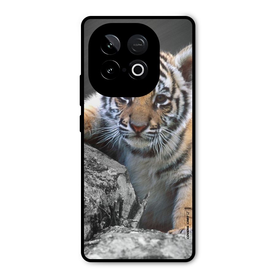 Animal Beauty Metal Back Case for iQOO Neo 10