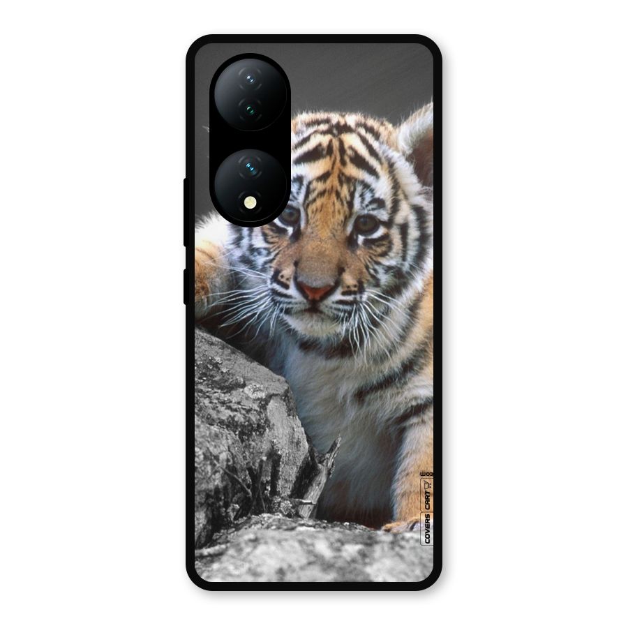 Animal Beauty Metal Back Case for iQOO Z7