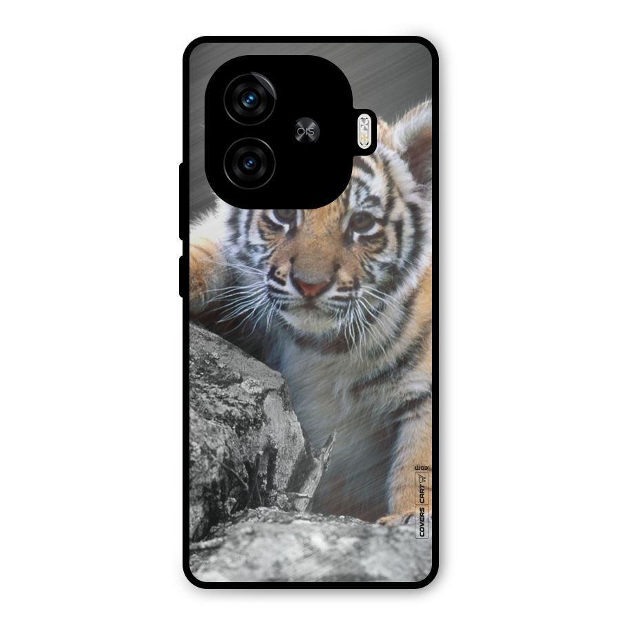 Animal Beauty Metal Back Case for iQOO Z9 Turbo