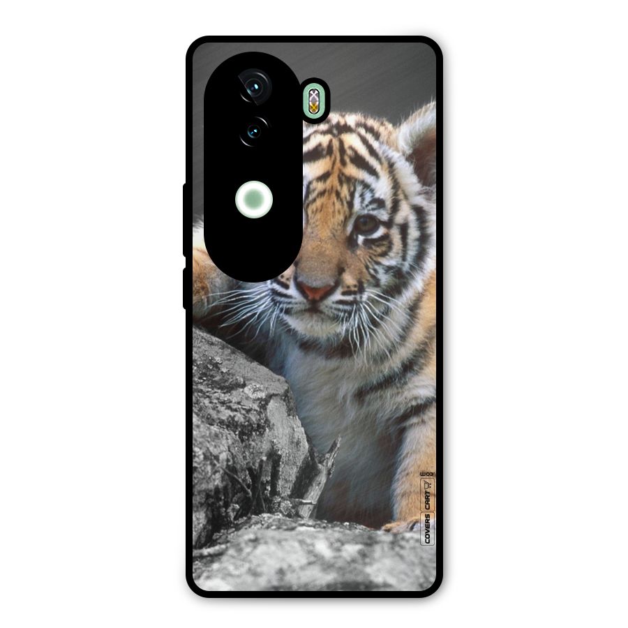 Animal Beauty Metal Back Case for iQOO Z9s