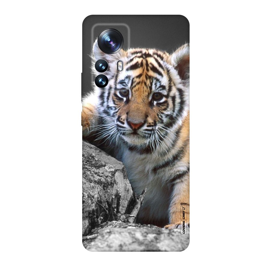 Animal Beauty Original Polycarbonate Back Case for Xiaomi 12 Pro