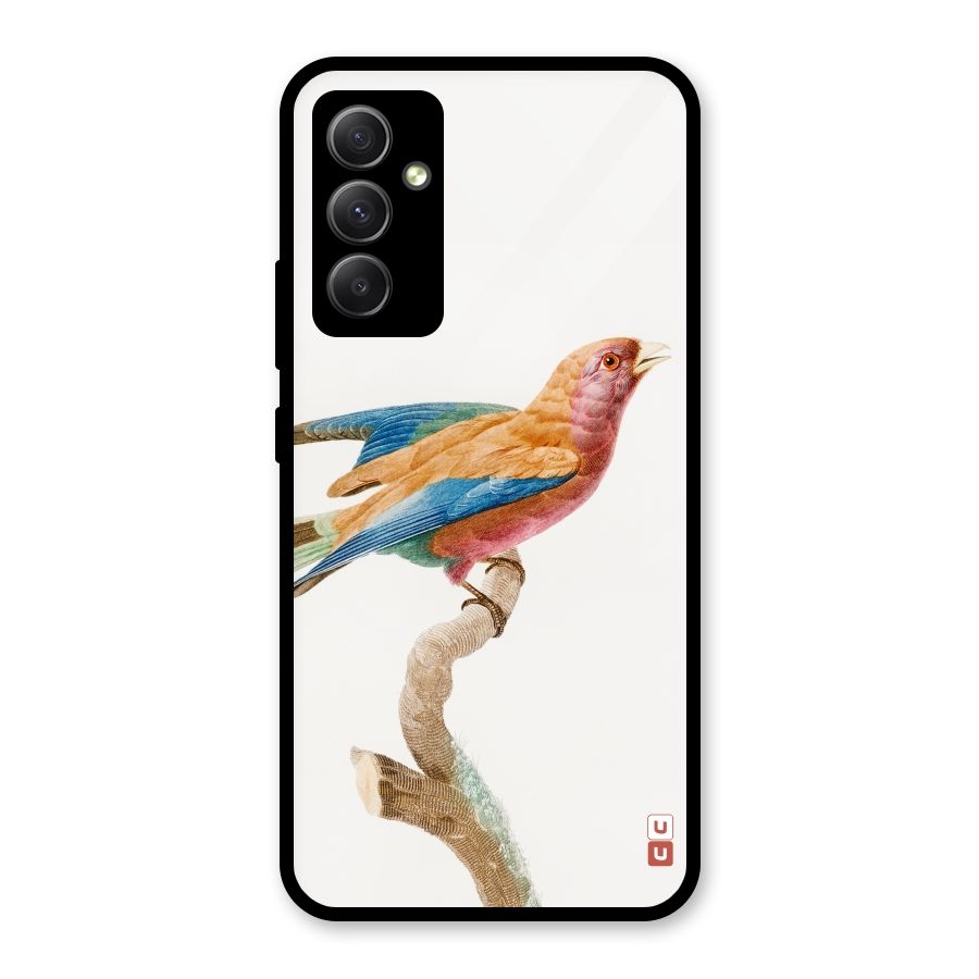 Beautiful Bird Glass Back Case for Galaxy A34