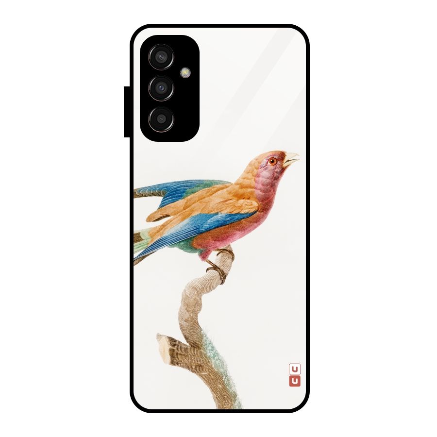 Beautiful Bird Glass Back Case for Galaxy F13