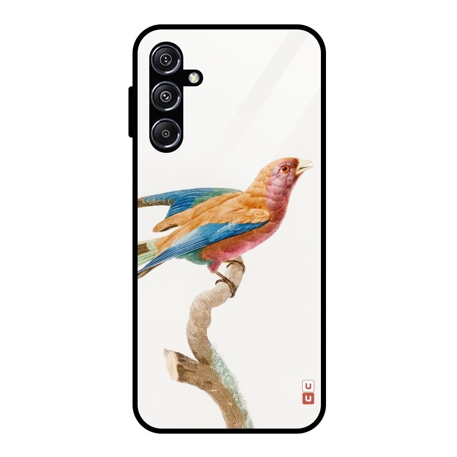 Beautiful Bird Glass Back Case for Galaxy M34 5G