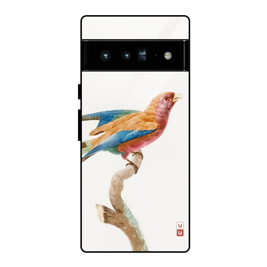 Beautiful Bird Glass Back Case for Google Pixel 6 Pro