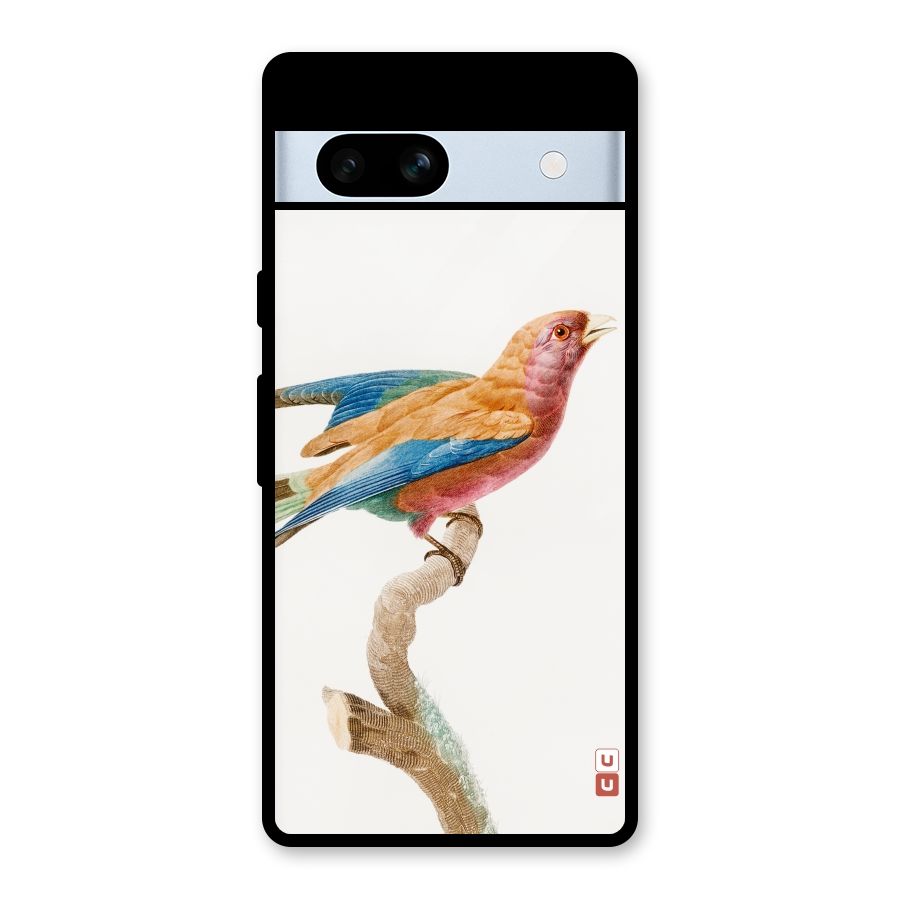 Beautiful Bird Glass Back Case for Google Pixel 7a
