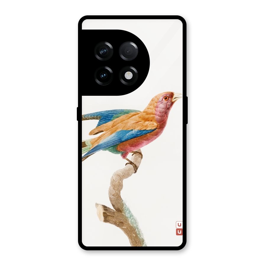 Beautiful Bird Glass Back Case for OnePlus 11R