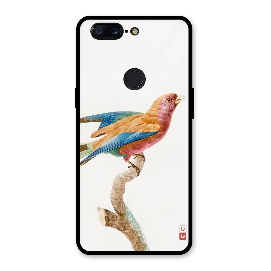 Beautiful Bird Glass Back Case for OnePlus 5T