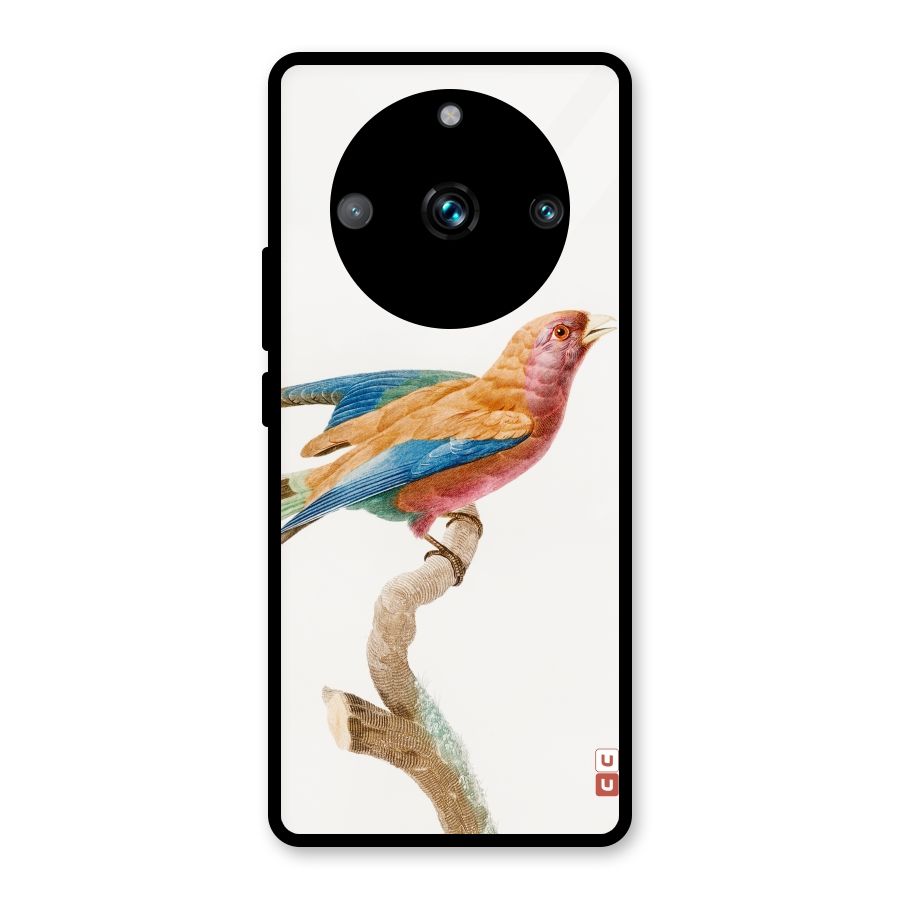 Beautiful Bird Glass Back Case for Realme 11 Pro