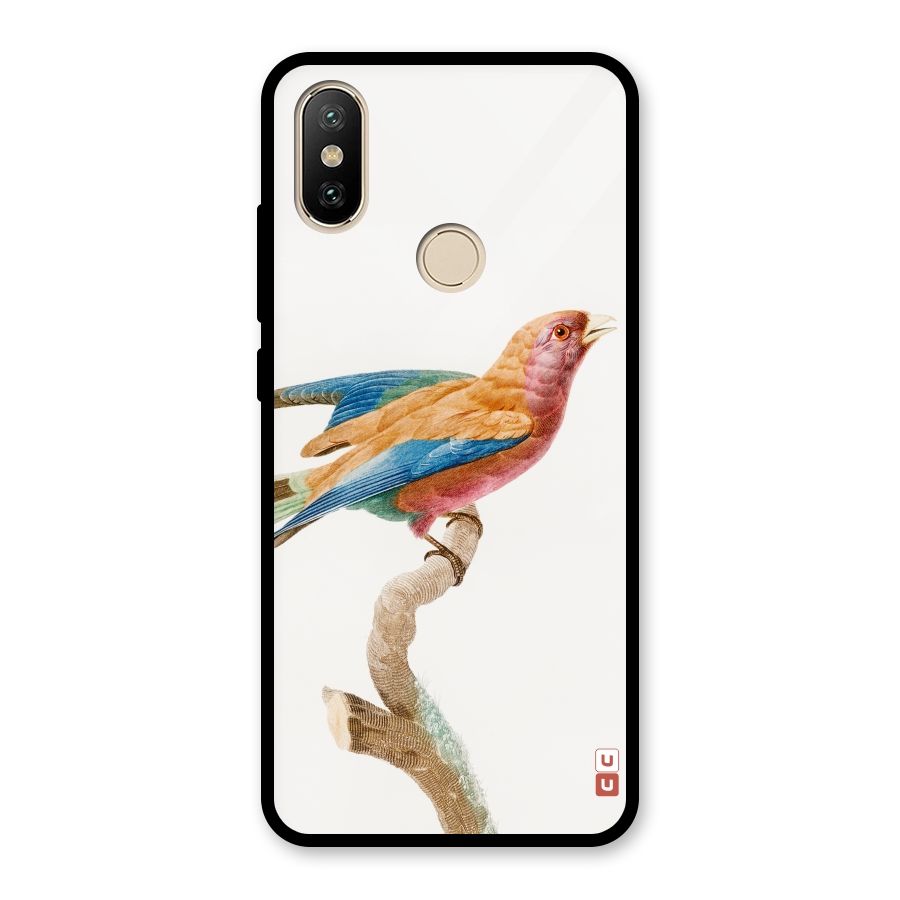 Beautiful Bird Glass Back Case for Redmi A2